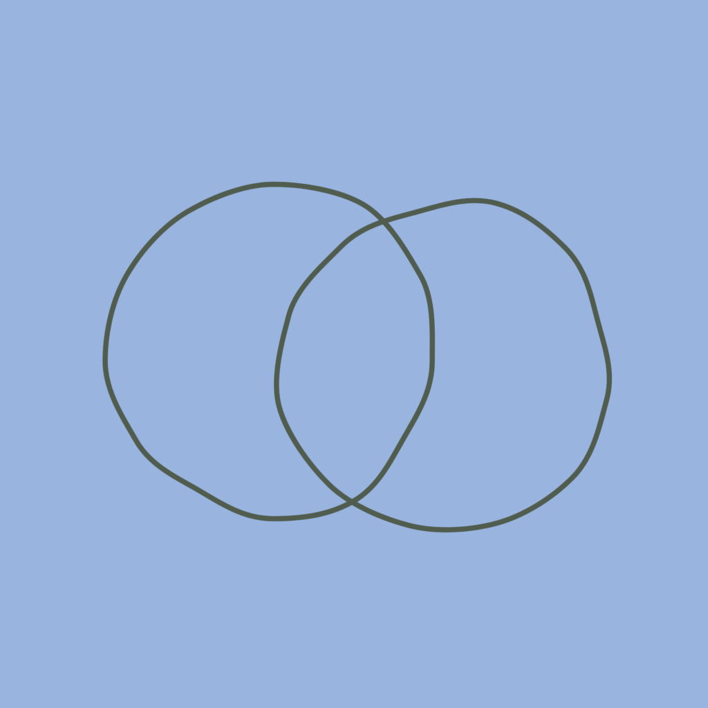 circle icon